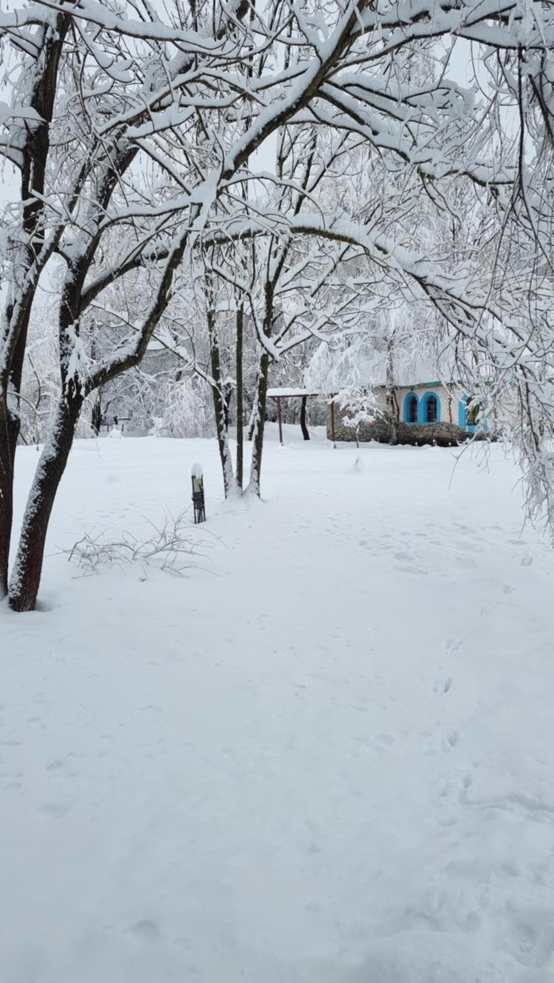 Viewtopia The Secret Land Valea Drăganului المظهر الخارجي الصورة