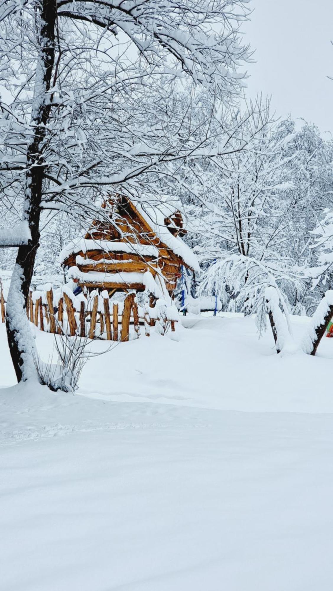 Viewtopia The Secret Land Valea Drăganului المظهر الخارجي الصورة