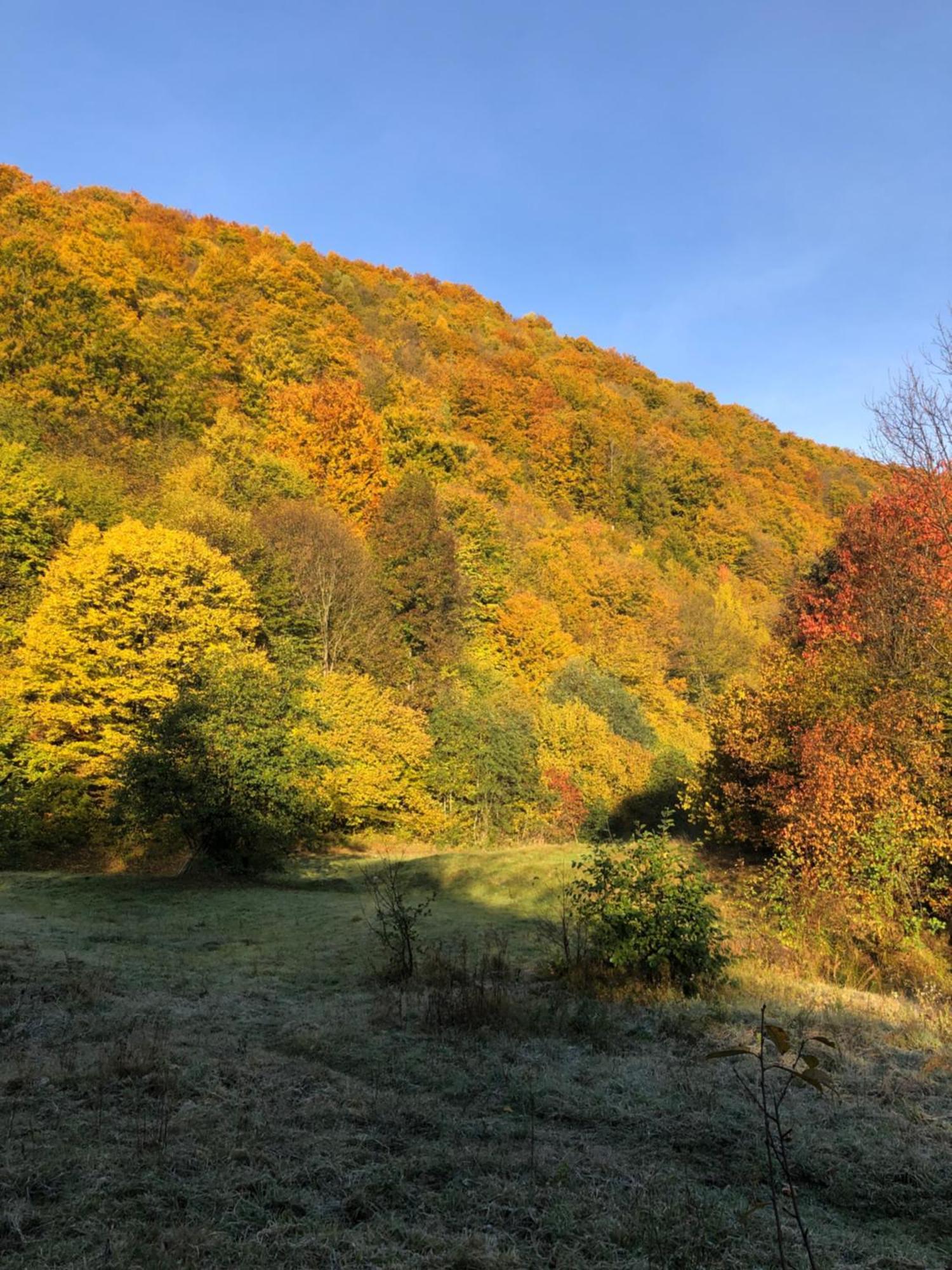 Viewtopia The Secret Land Valea Drăganului المظهر الخارجي الصورة